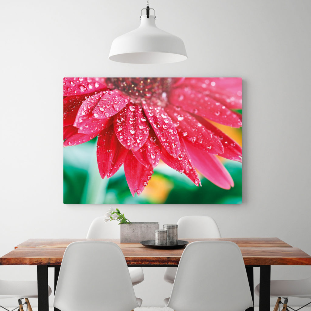 metal print from chromaluxe