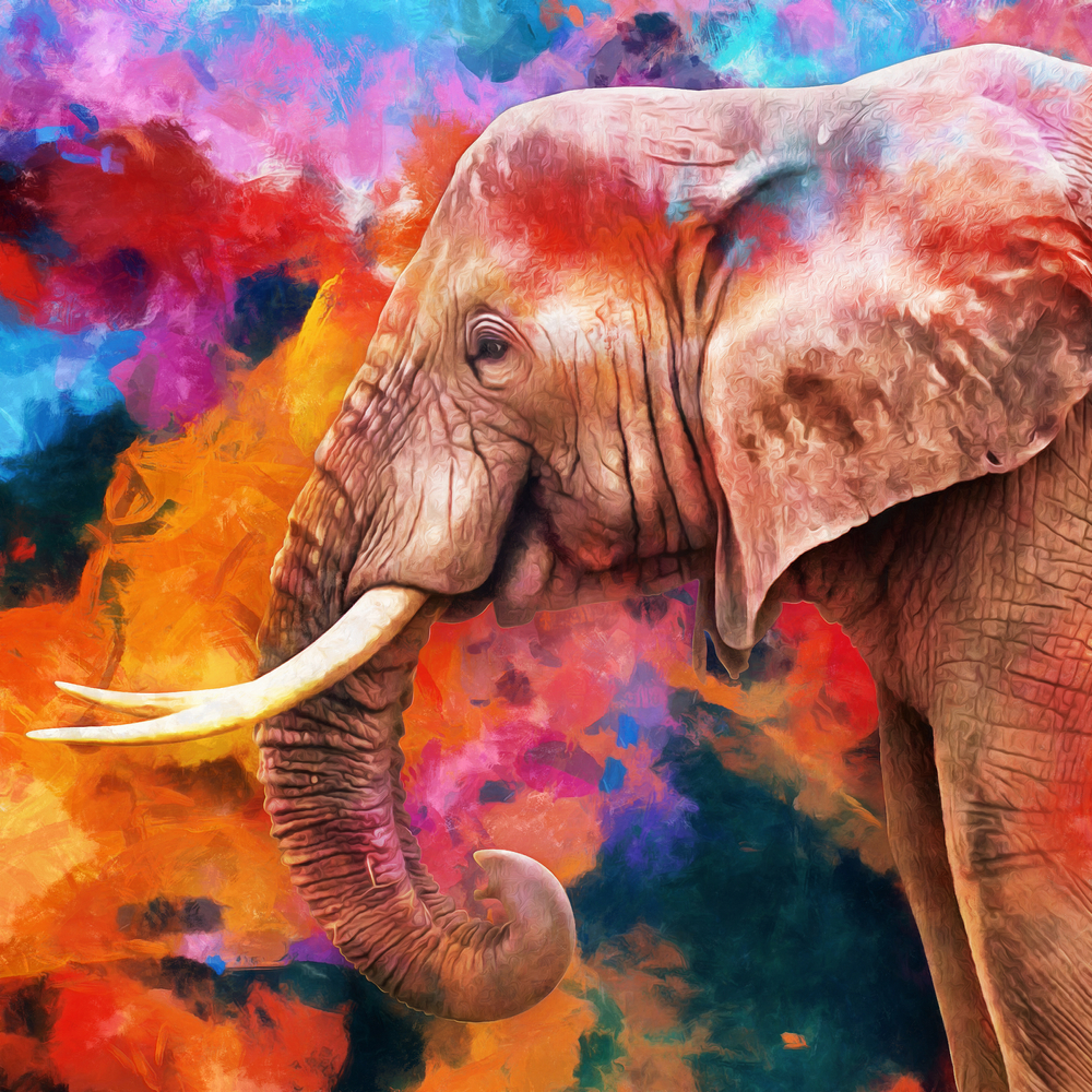 Elefant-Kunstdruck