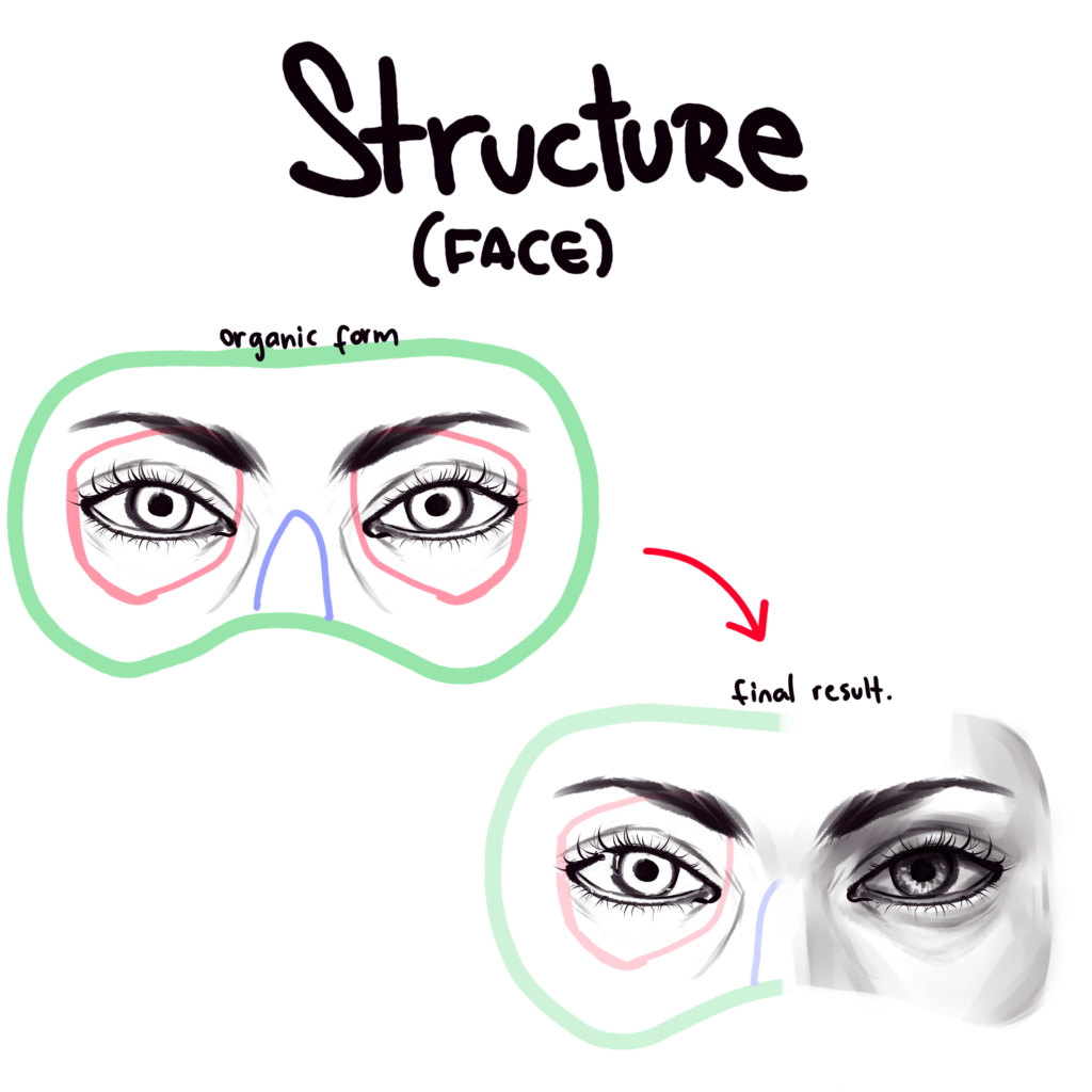 Facial Structure - Volume 2