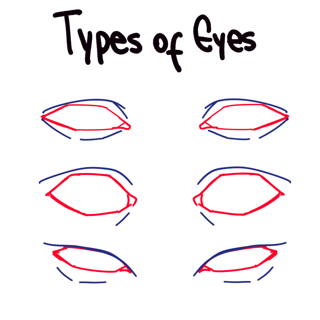 Types of Eye Shapes