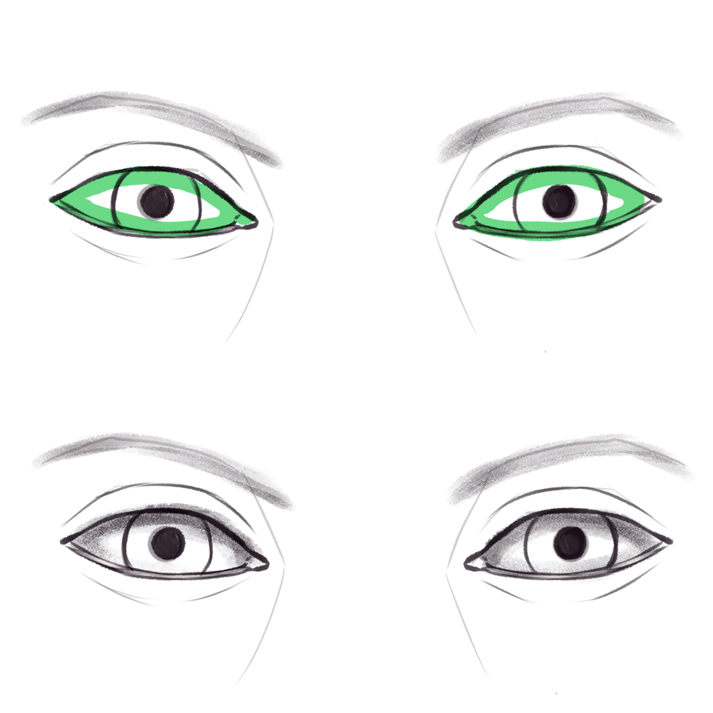 Step 11 - Shade the Eyeball