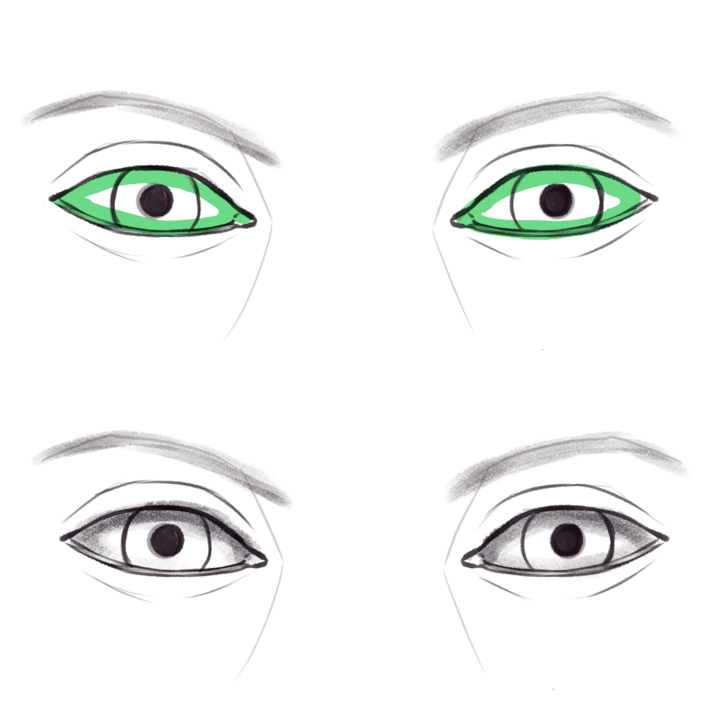 How to Draw Eyes: A Step-by-Step Guide - Udemy Blog