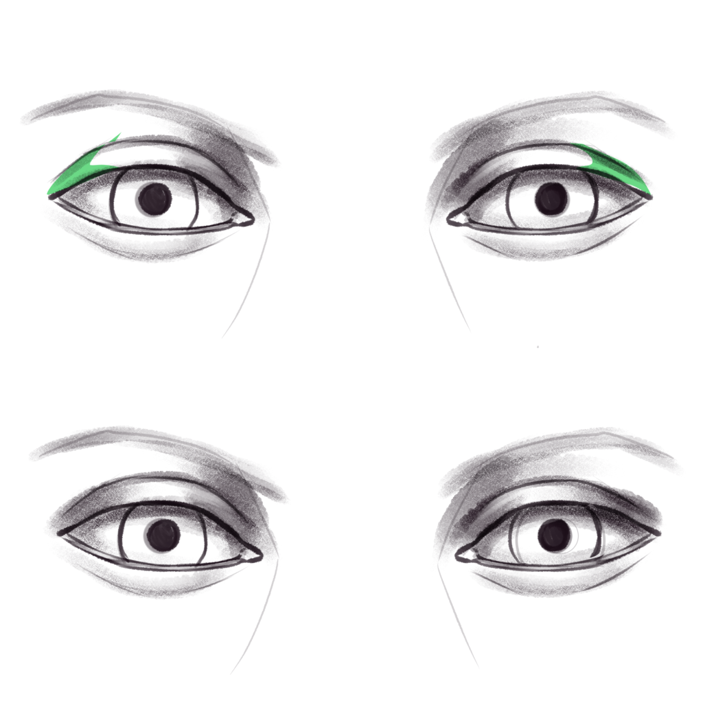 Step 14: The Outer Eyelid