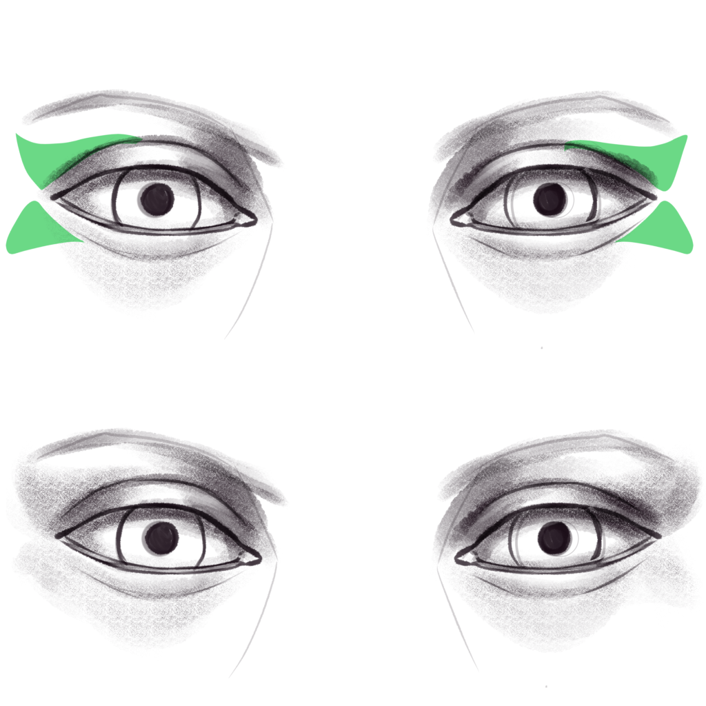 Asian and Caucasian Eye Drawing Reference