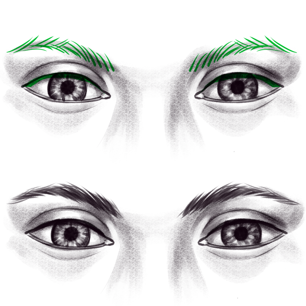 Step 22 - Eyebrows