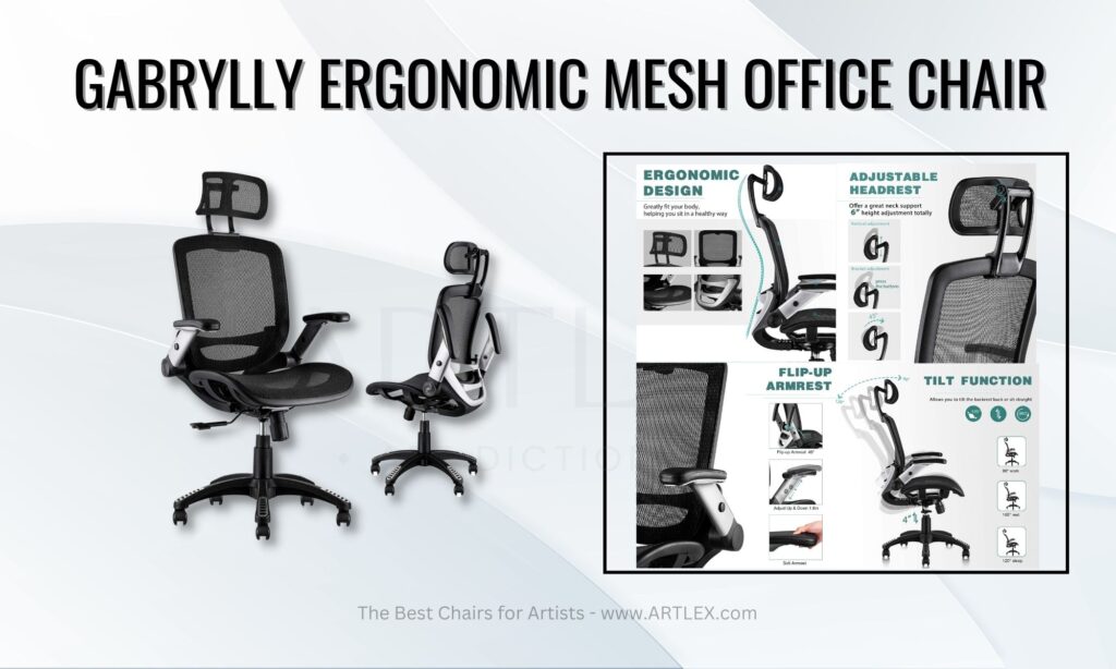 Gabrylly Ergonomic Mesh Office Chair