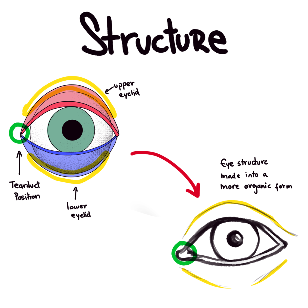 Eye Shapes - From Basic to Organic