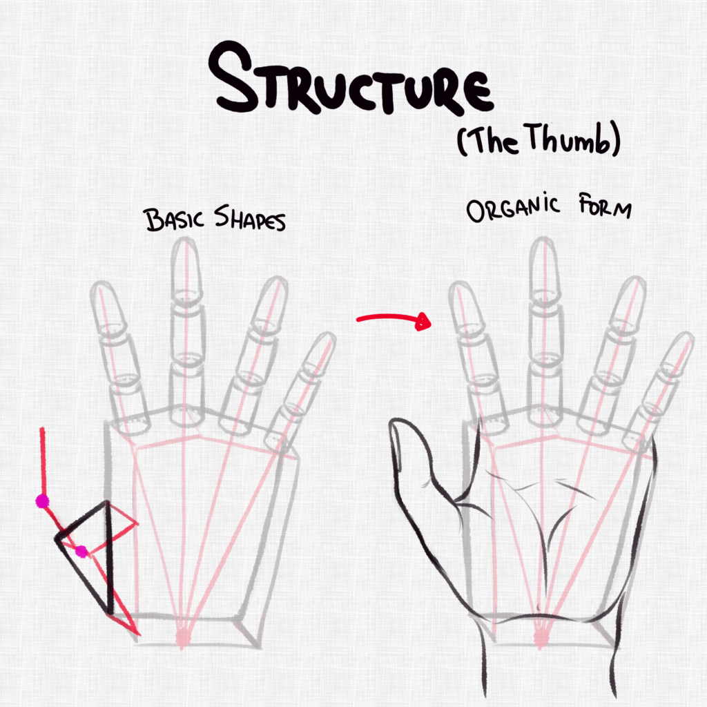 How to Draw Anime Hands, a Step-by-Step Tutorial – Two Methods