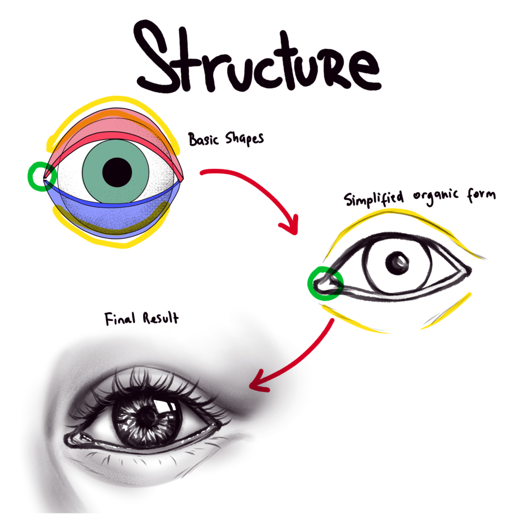How to Draw Eyes – A Step-by-Step Tutorial – Artlex