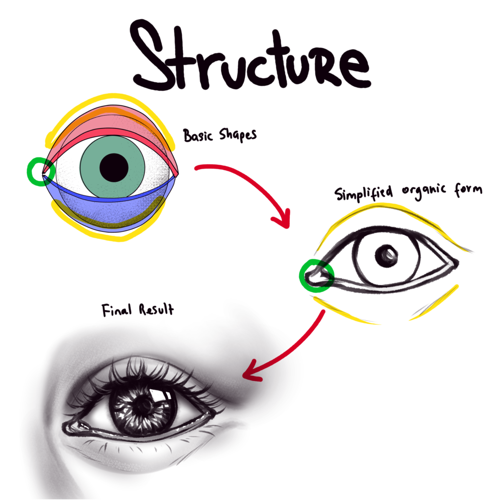 From Organic to Realistic Eye Structure