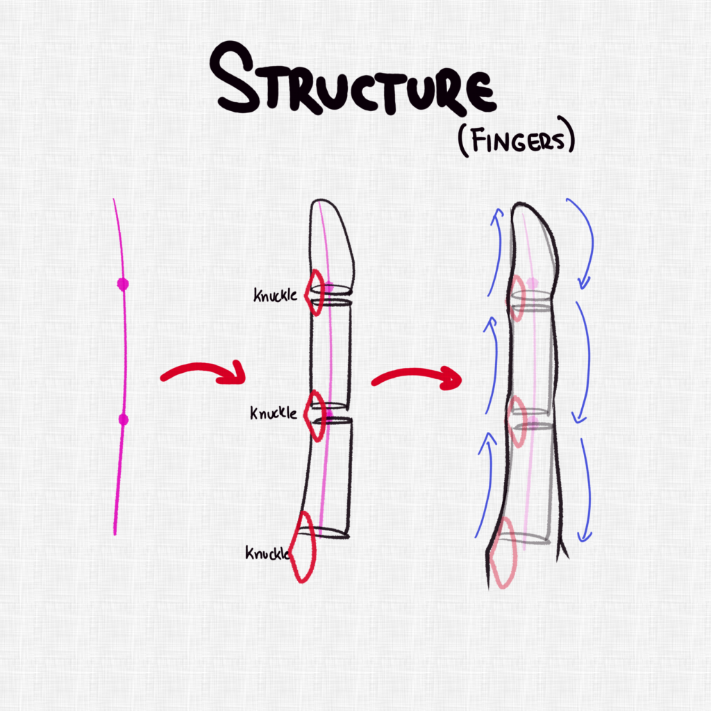 Finger Structure - Part 3
