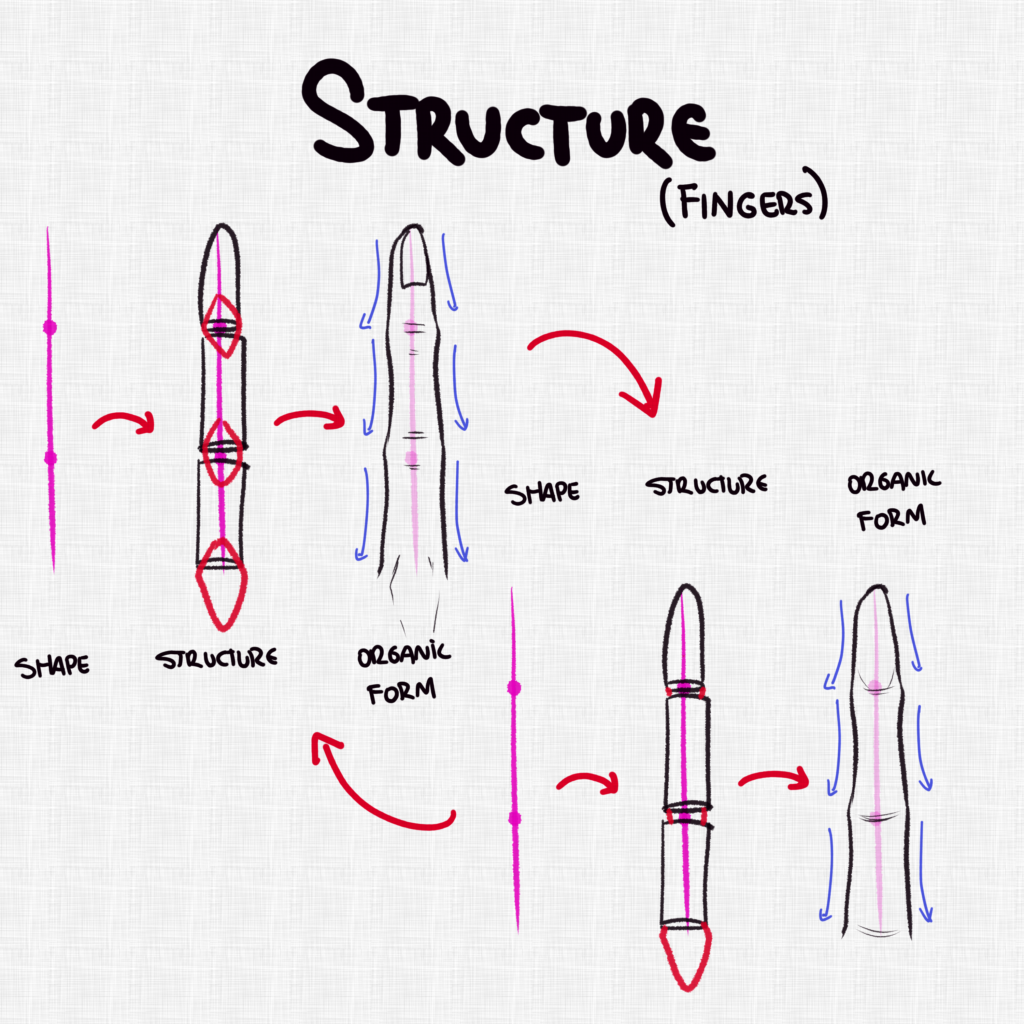 Finger Structure Part 4