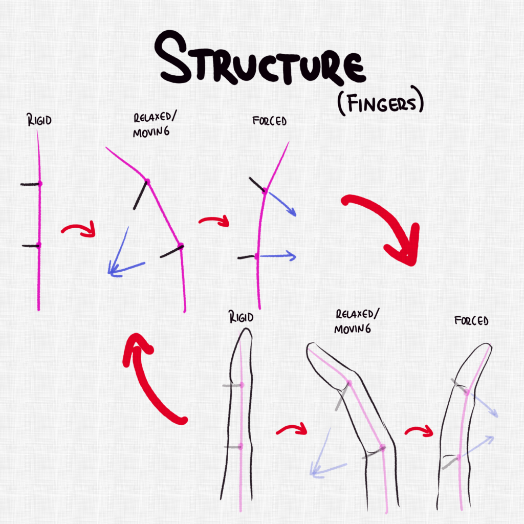 Finger Structure Part 5