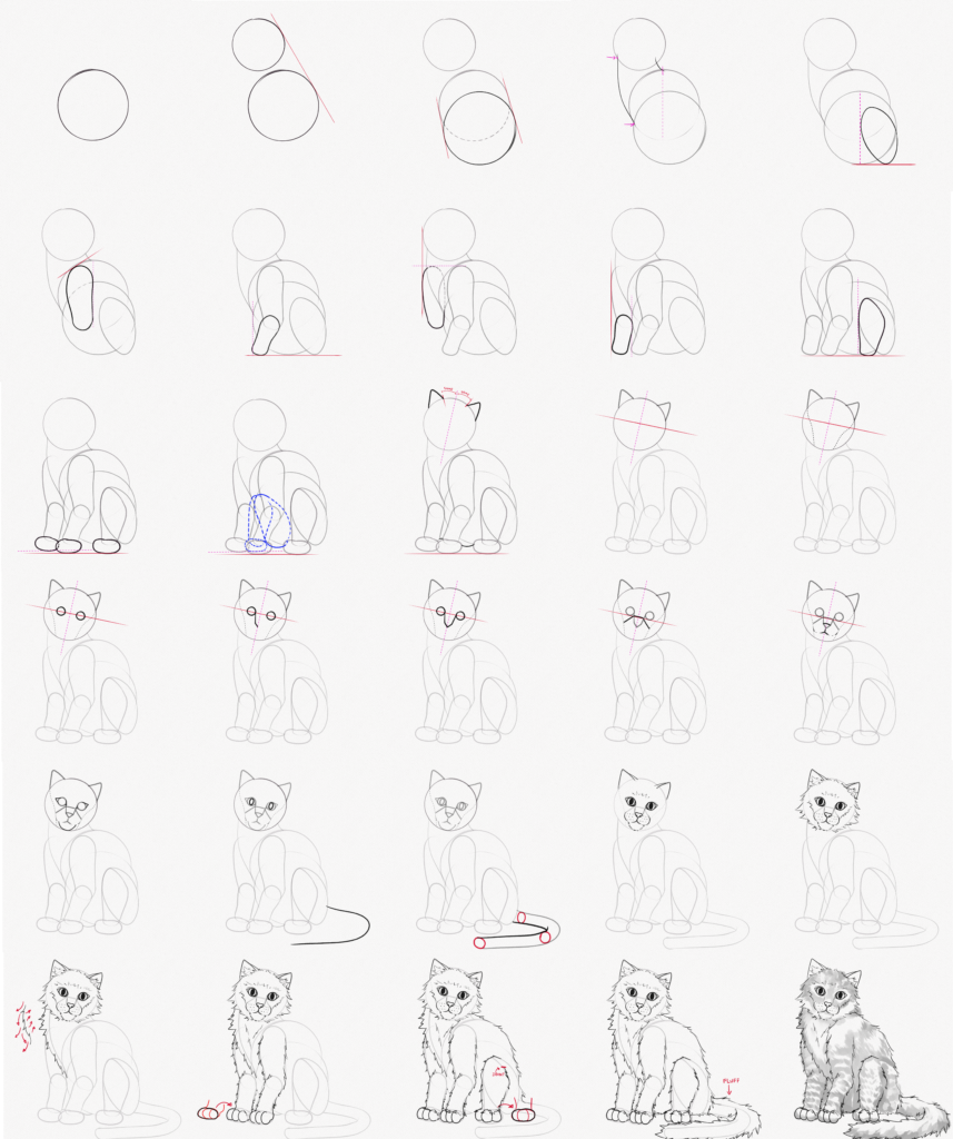 How to Draw a Cat Step by Step (All 30 Steps)