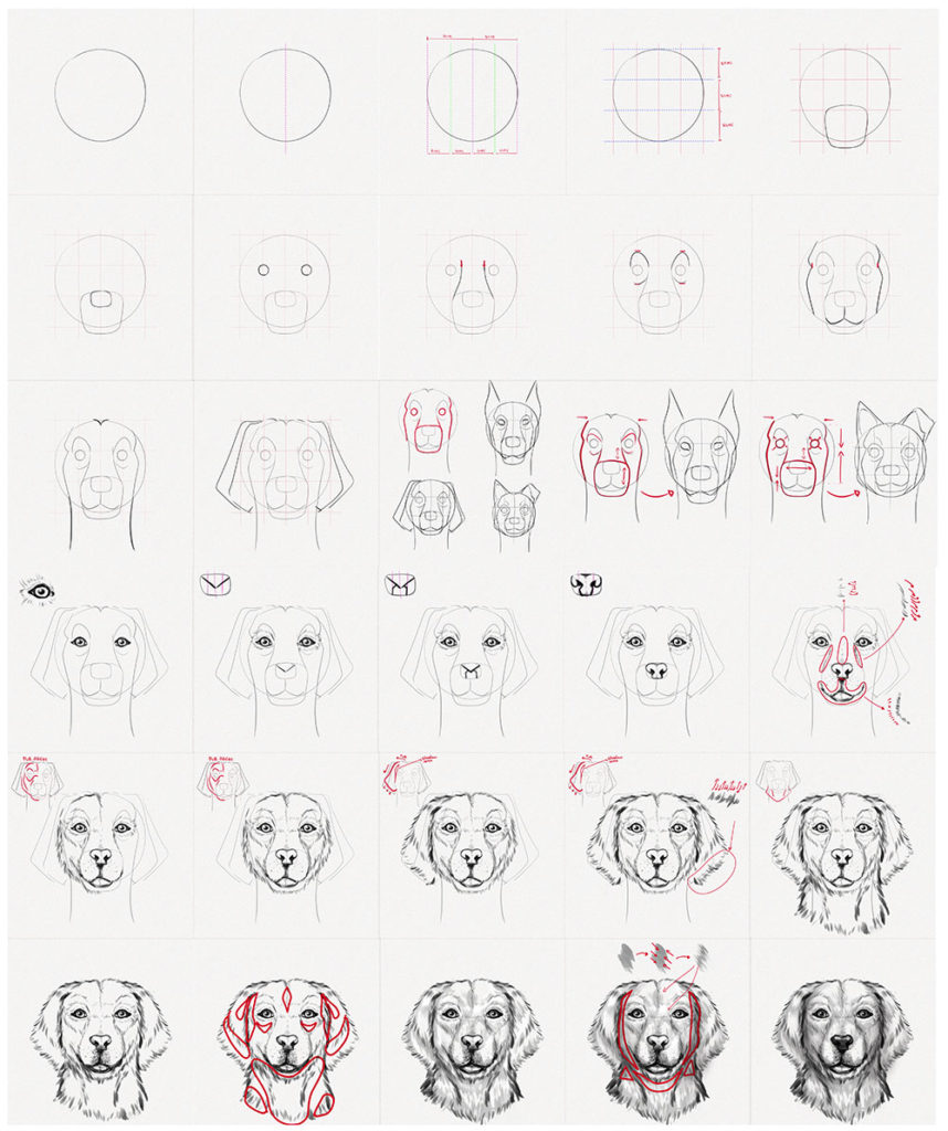 How to draw an anime dog  Step by step Drawing tutorials