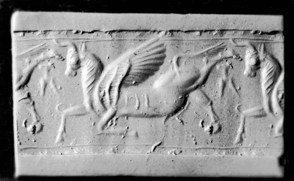 Cylinder Seal With Winged Bull