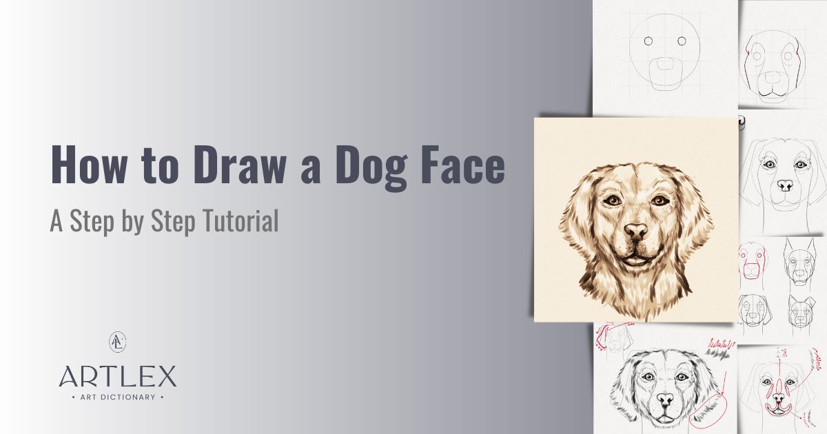 How to Draw a Dog Face – A Step-by-Step Tutorial