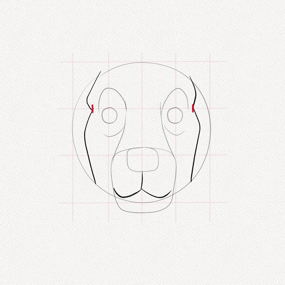 Step 10