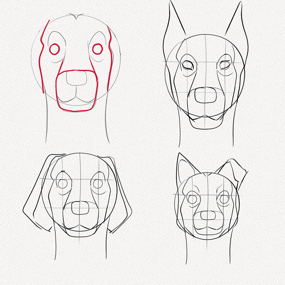 Dog Drawing Tutorial  Dog Pencil Drawing  How to draw a dog Face  YouTube