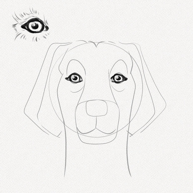 How to Draw a Dog Face A StepbyStep Tutorial Artlex