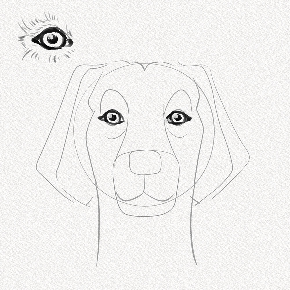 Step 16 - Dogs Eyes