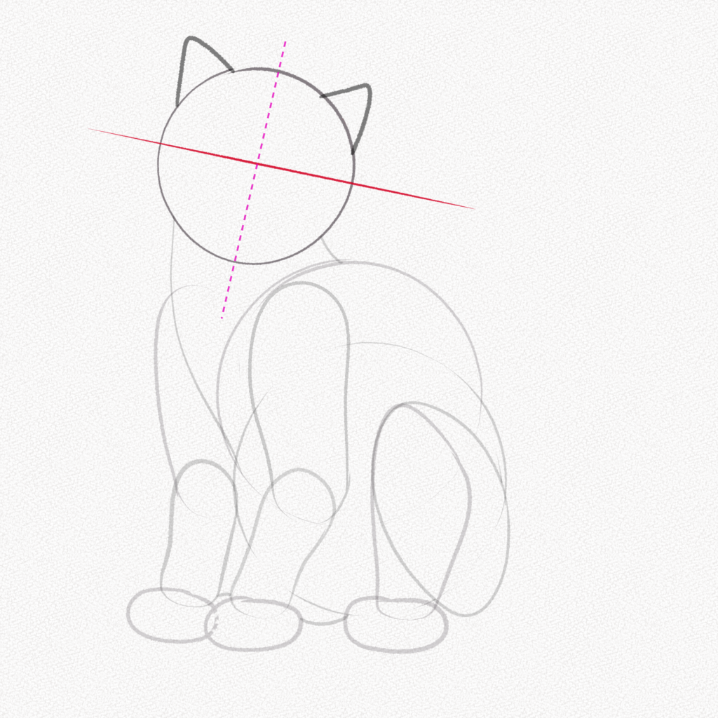 Step 14 - Cat's Face Structure