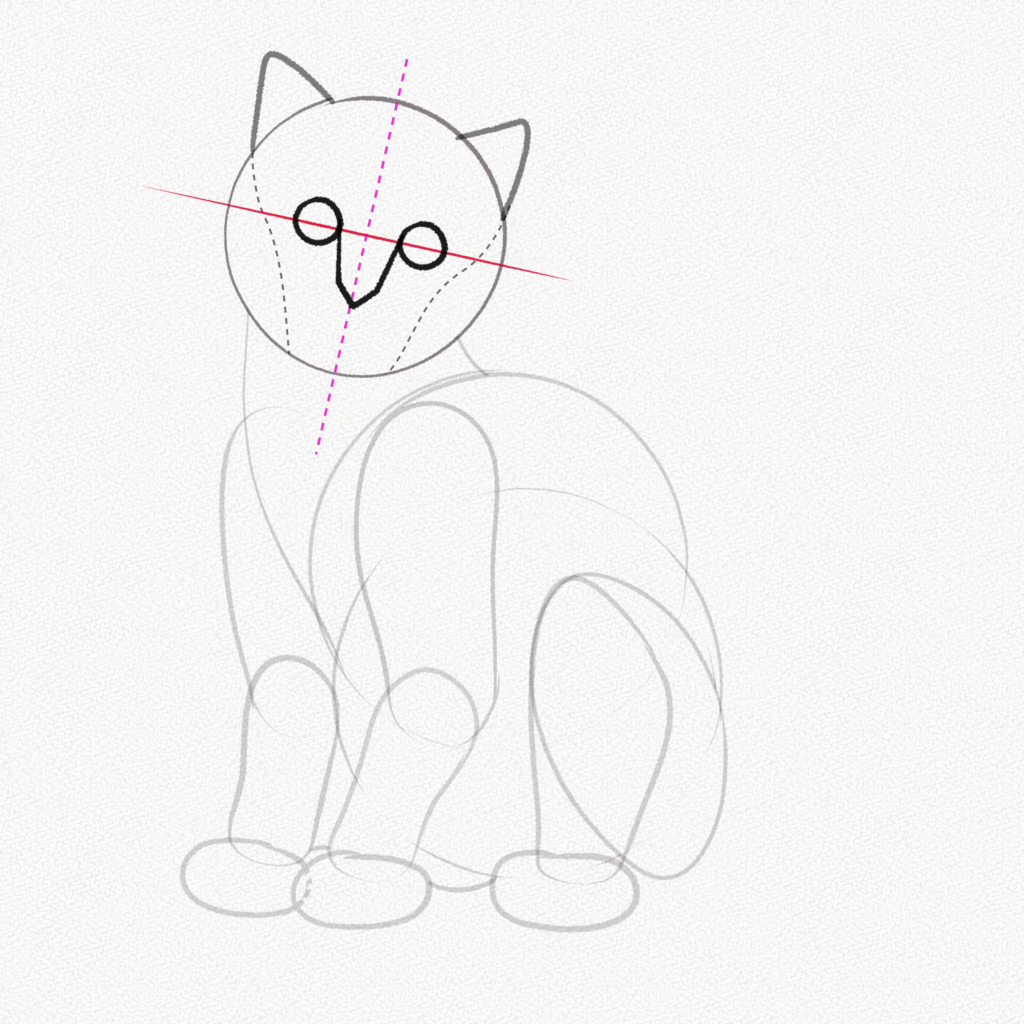How To Draw A Realistic Cat Step By Step Easy