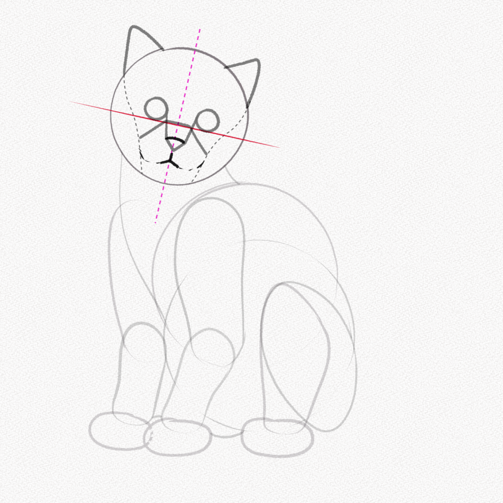 gatostiernos.ml  Dibujo gato facil, Como dibujar un gato, Tutorial de  dibujo de gato