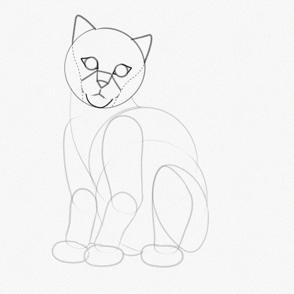 how to draw cat sitting side view