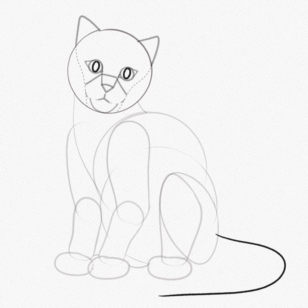 how to draw cat sitting side view