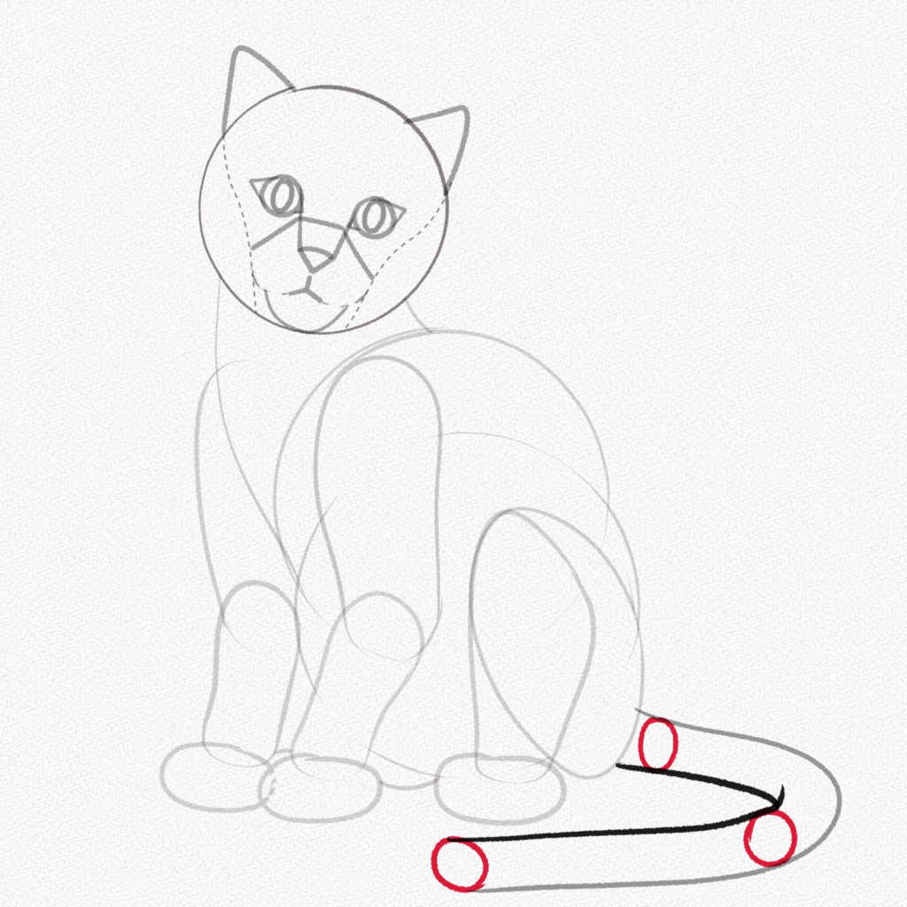 Cómo Dibujar un Gato (Tutorial Paso a Paso) – Artlex