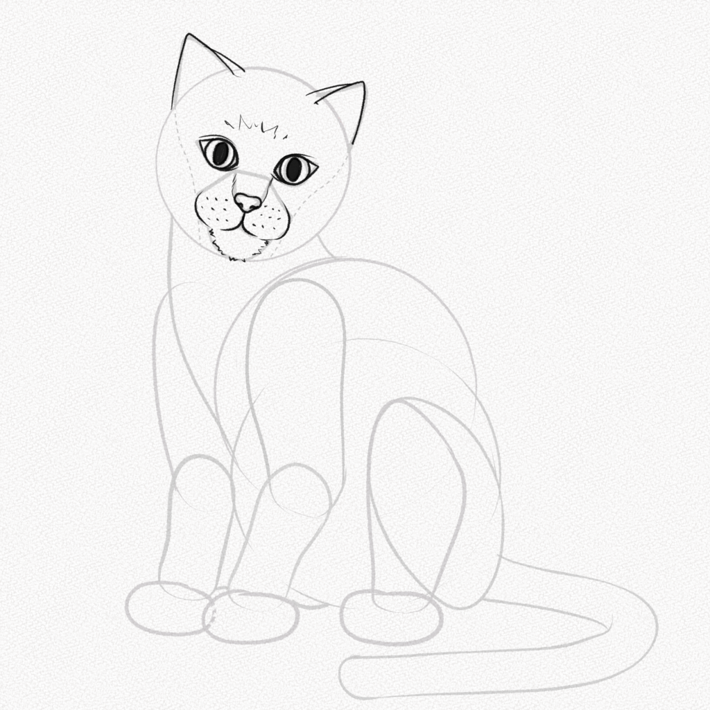 How to Draw a Cat - Easy Drawing Art