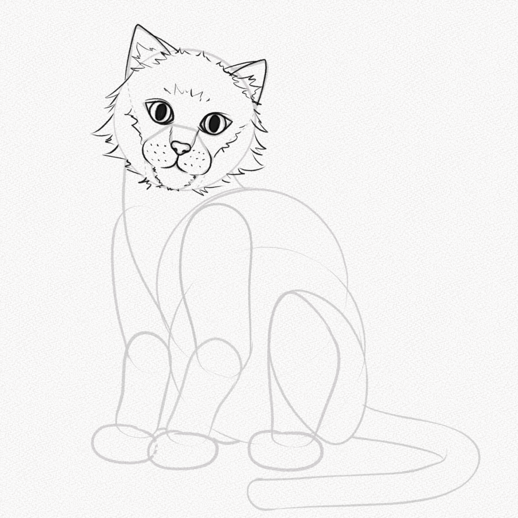 Drawing a realistic cat 