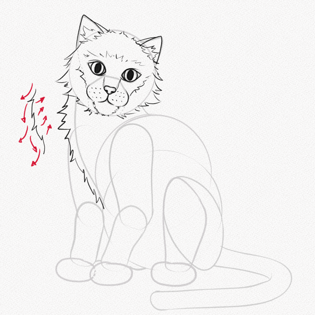 How To Draw A Simple Cat - Draw A Simple Cat Transparent PNG - 678x600 -  Free Download on NicePNG