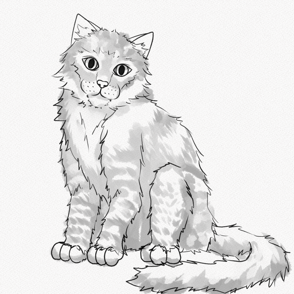Step 30 - Complete Cat Drawing