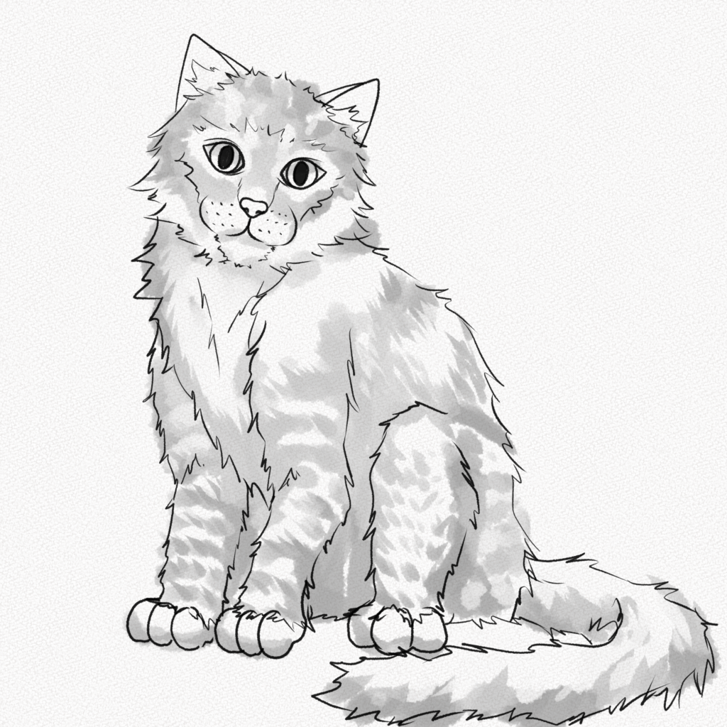 Easy Cat Drawing Ideas » How to draw a Cat Step by Step