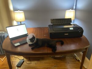Canon Pixma Pro 200 with Laptop and Cat
