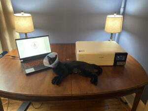 Epson ET-8550 with Laptop and Cat