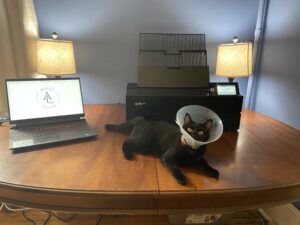 Epson P900 with Laptop and Cat
