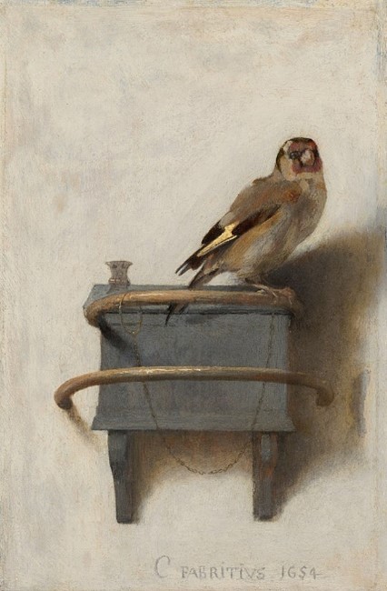 The Goldfinch.1654. Carel Fabritius Mauritshuis Royal Picture Gallery, The Hague, Netherlands The Goldfinch | Mauritshuis