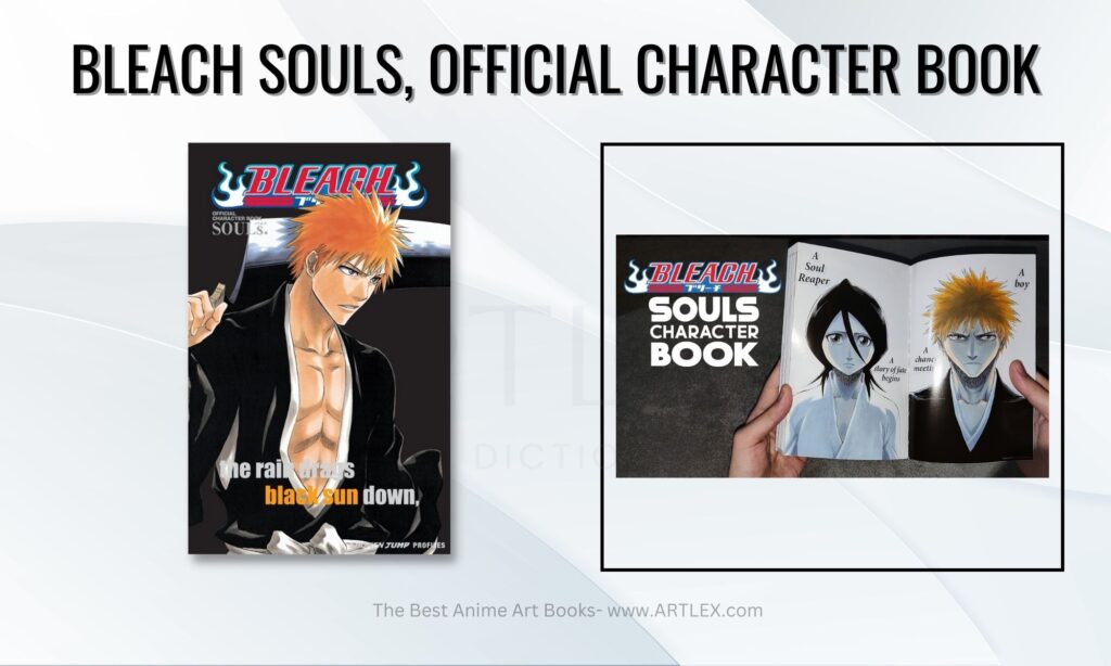 Bleach Souls, Official Character Book