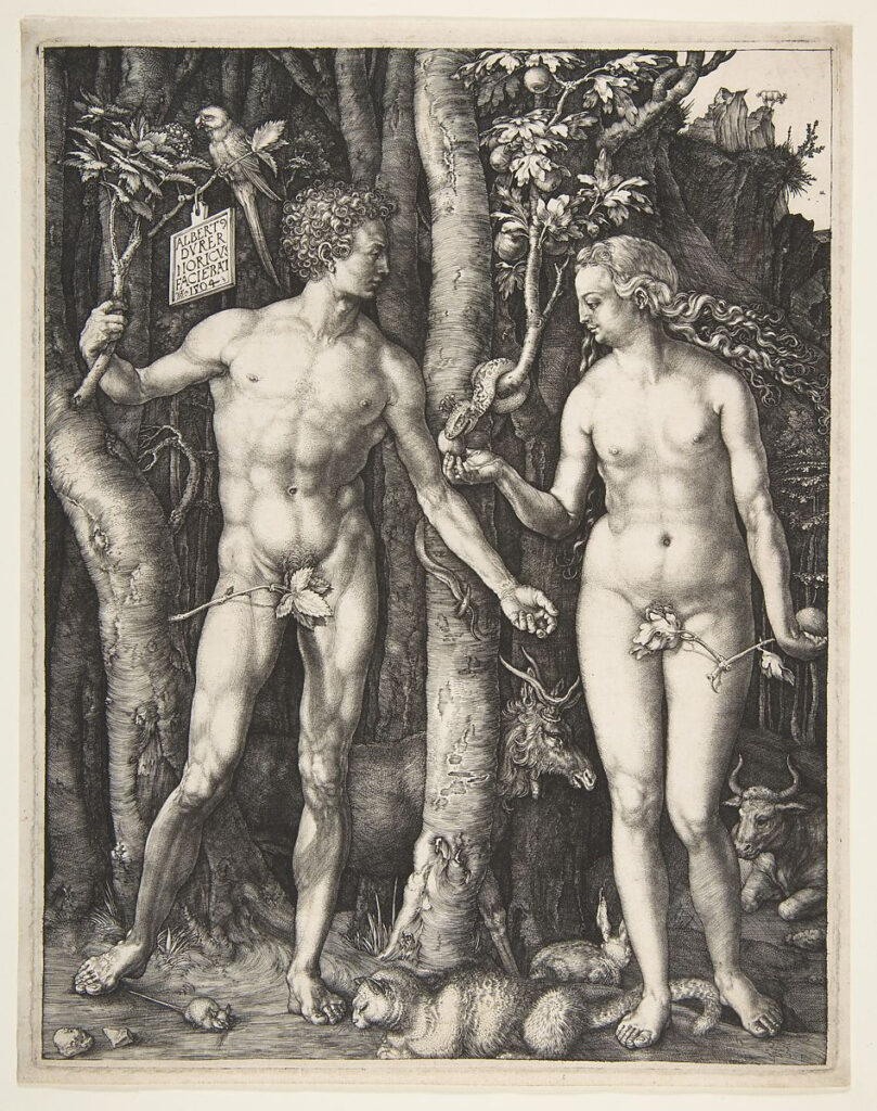 Albrecht Dürer, Adam et Eve, 1504, The Metropolitan Museum of Art, New York. https://www.metmuseum.org/art/collection/search/336222