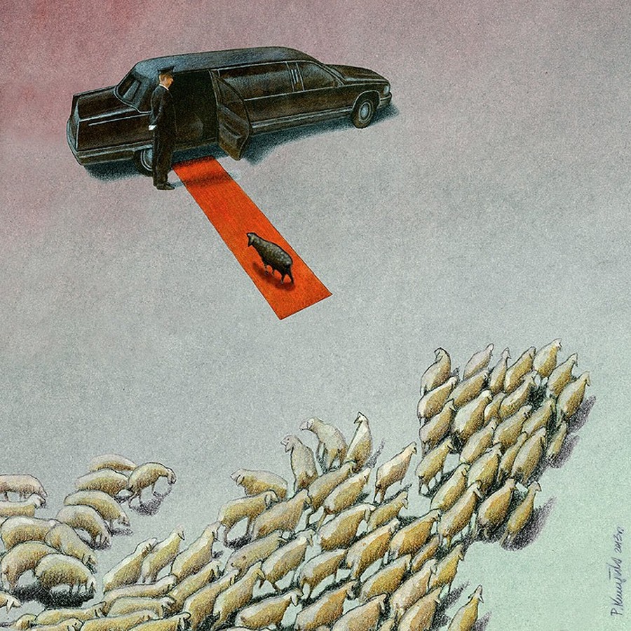 Oveja negra de Pawel Kuczynski