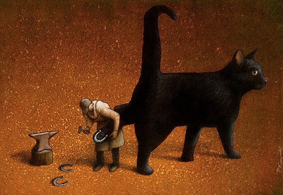 Black cat by Pawel Kuczynski