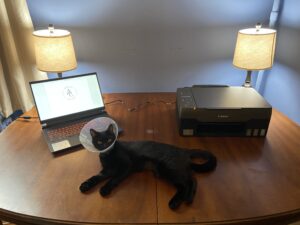 Canon Pixma G3260 with Laptop and Cat