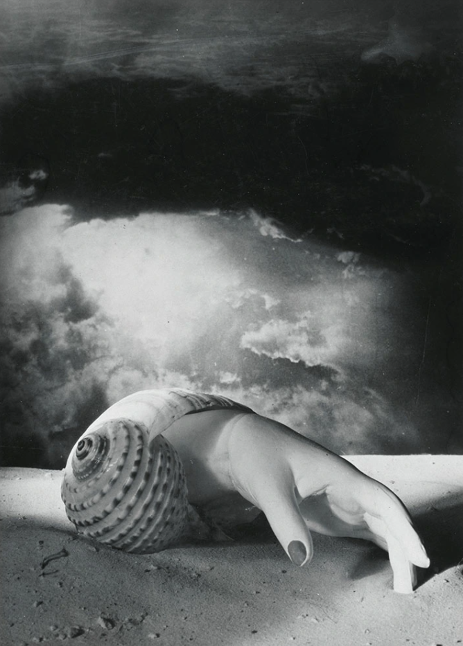 Dora Maar, Untitled (Hand-shell), 1934. Centre de collecte Pompidou, Paris