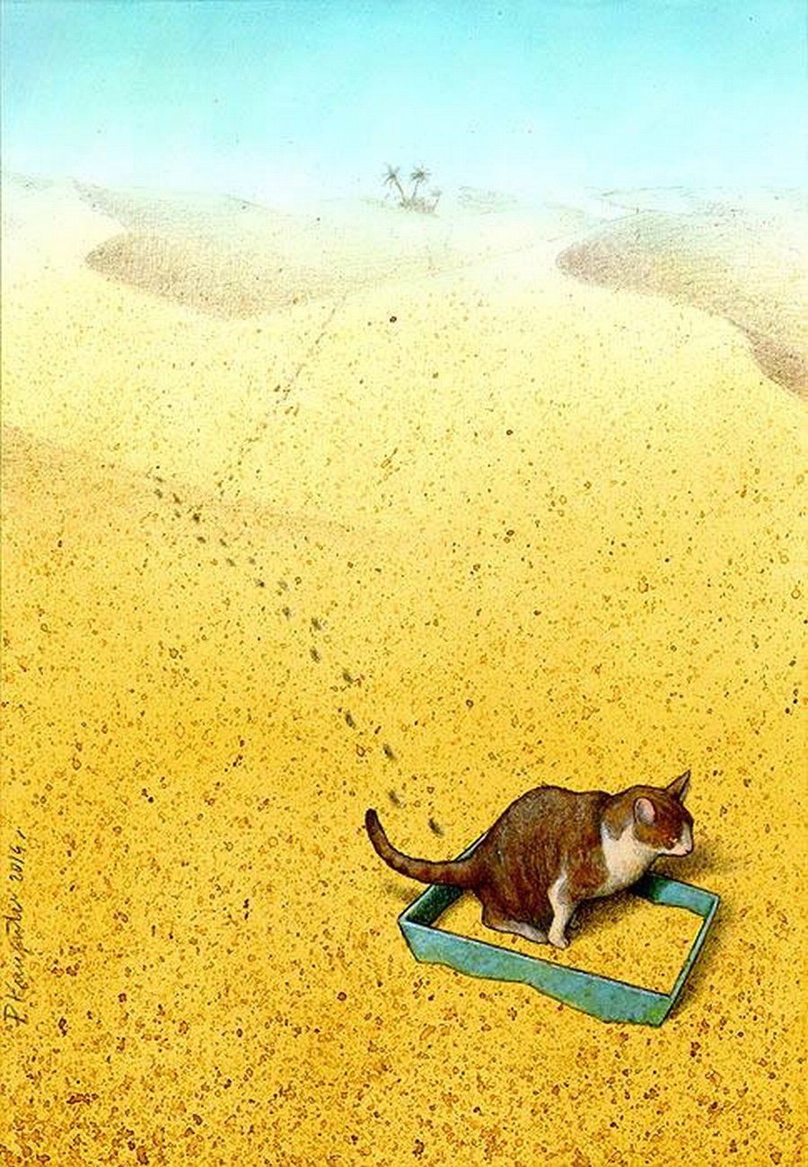 Cat Sandbox by Pawel Kuczynski