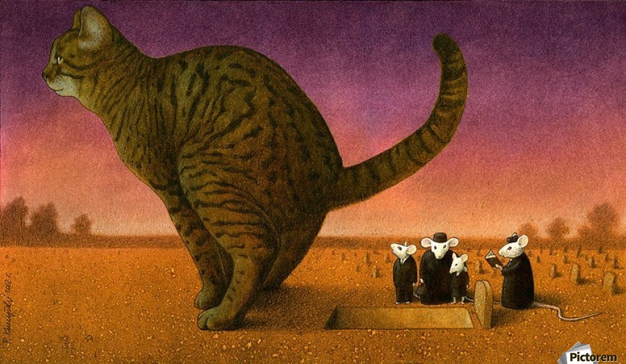 Gato de Pawel Kuczynski