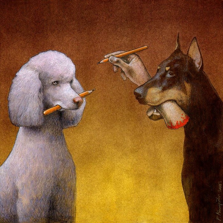 Dogs play by Pawel Kuczynski