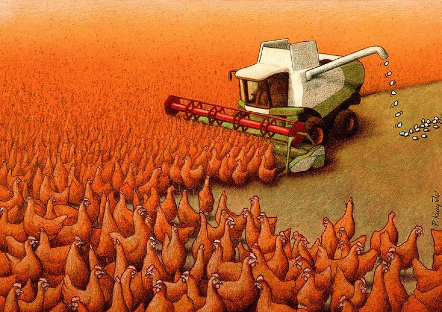 Eggs by Pawel Kuczynski